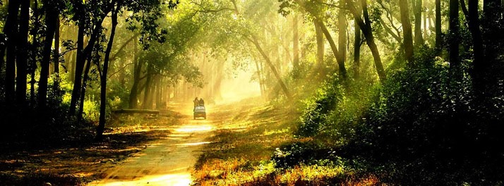 1647/Resort De Coracao - Corbett 18.jpg